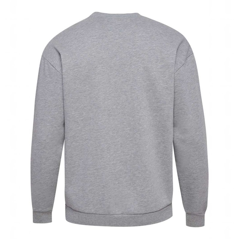 Hummel Loose Crewneck University Bee Sweatshirts Dames Grijs | 215836-584